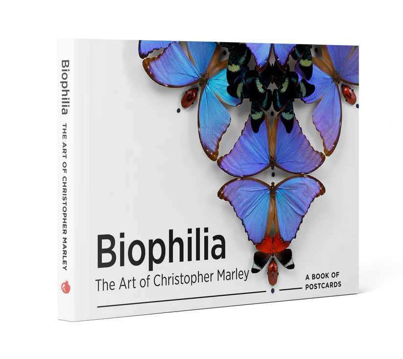 Biophilia: The Art of Christopher Marley Book of Postcards