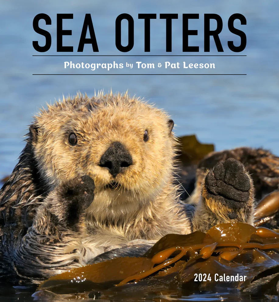 Sea Otters: Photographs by Tom and Pat Leeson 2024 Wall Calendar
