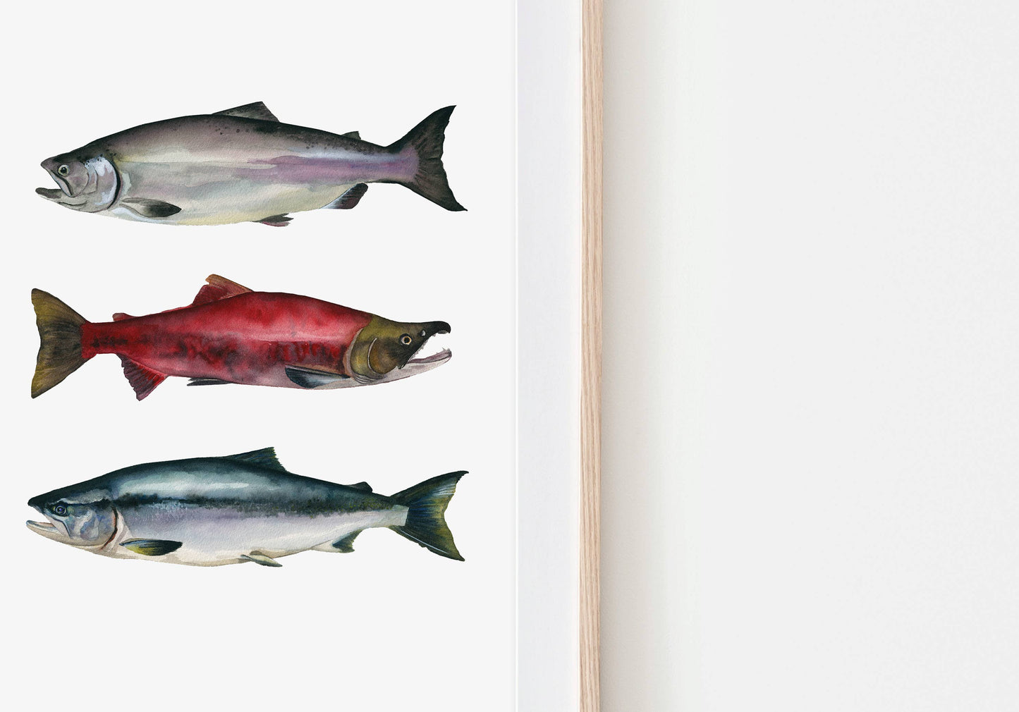 Salmon Trio Art Print