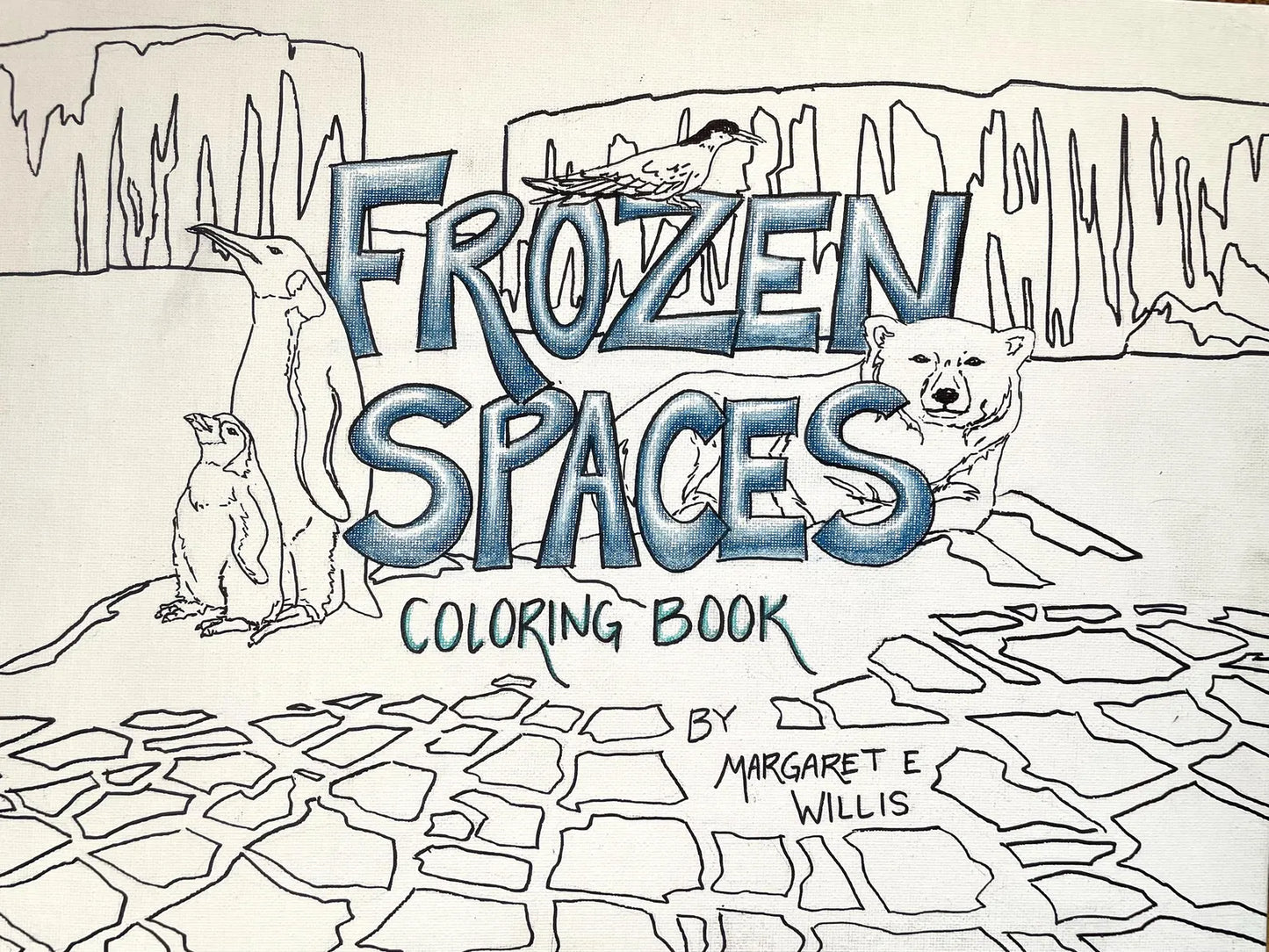 Frozen Spaces Coloring Book by Margaret Willis