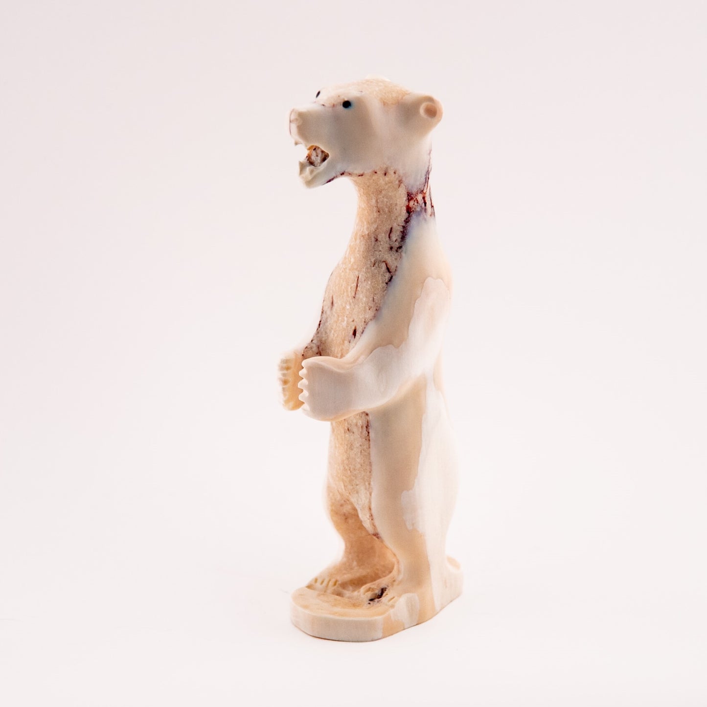 Walrus Tusk Polar Bear