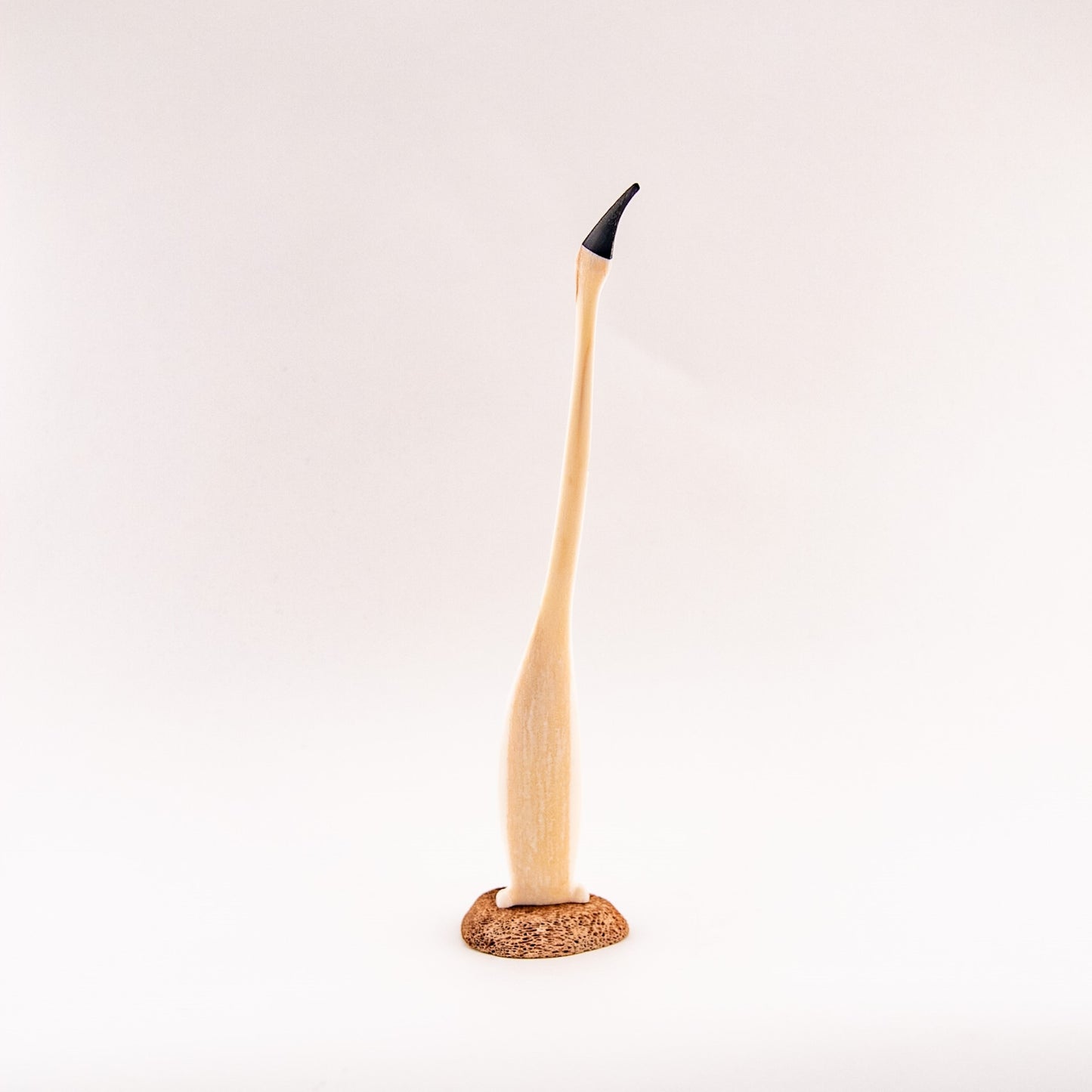 Ivory and Baleen Cormorant 11.5" - 12.5"
