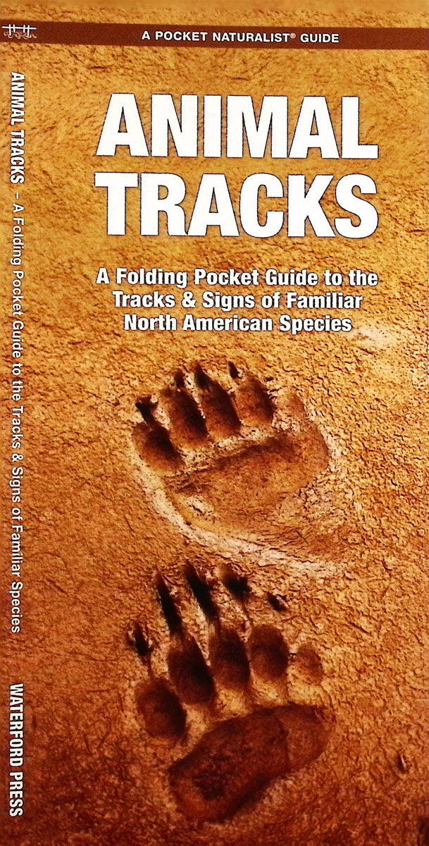 Animal Tracks: A Folding Pocket Guide to the Tracks & Signs of Familiar North American Species