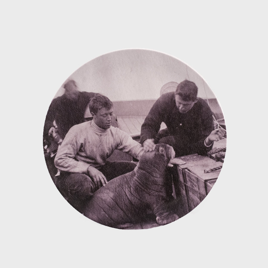 Plate - Men and Walrus Pup