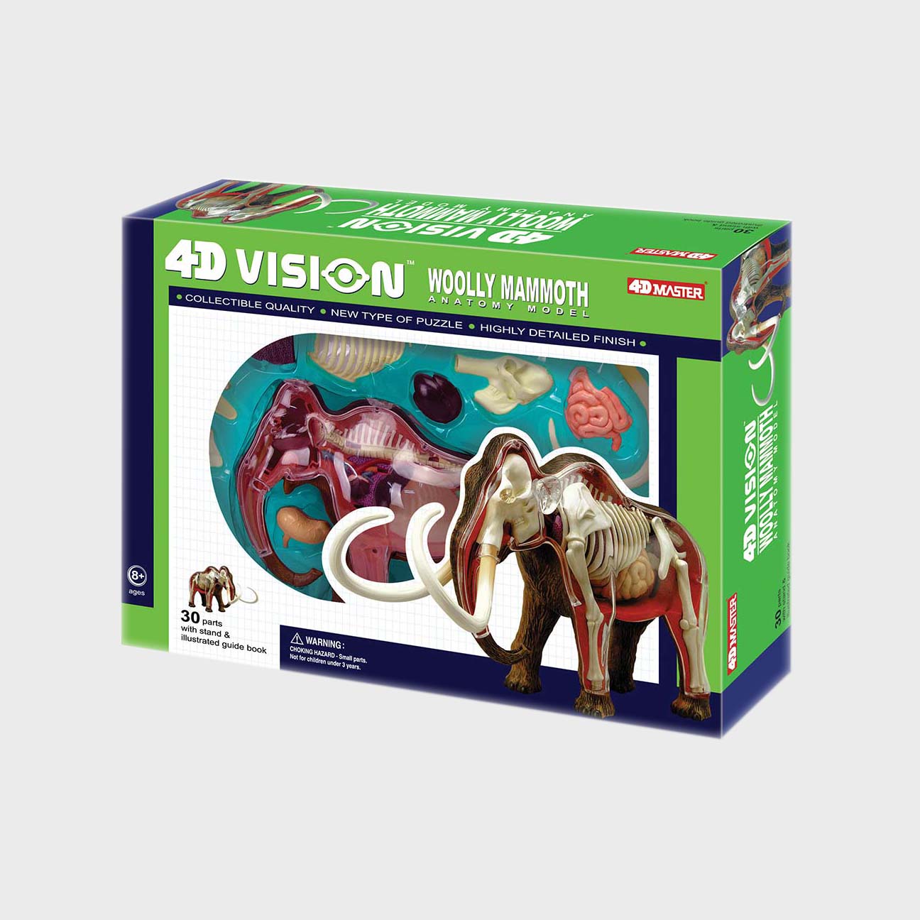 4D Woolly Mammoth Anatomy Model