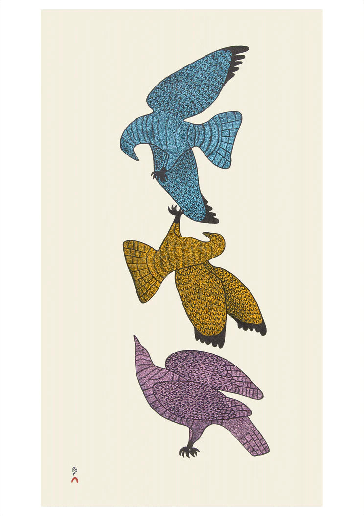 Quvianaqtuk Pudlat: Aerial Courtship Notecard