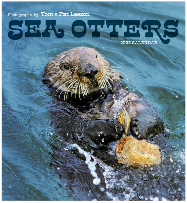 Sea Otters: Photographs by Tom and Pat Leeson 2023 Wall Calendar
