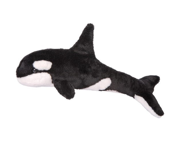 Spout Orca Whale