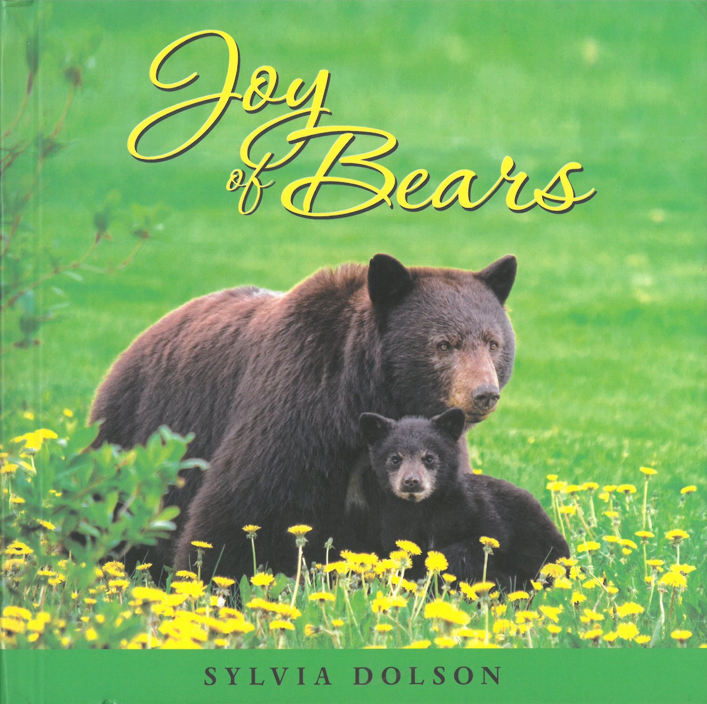 Joy of Bears by Sylvia Dolson