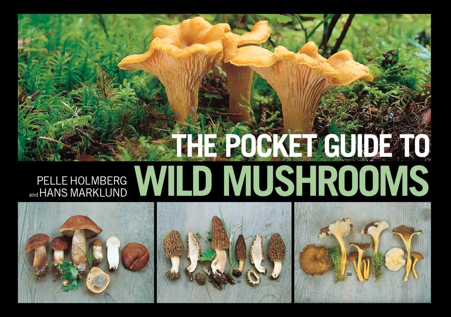 The Pocket Guide to Wild Mushrooms by Pelle Holmberg and Hans Marklund