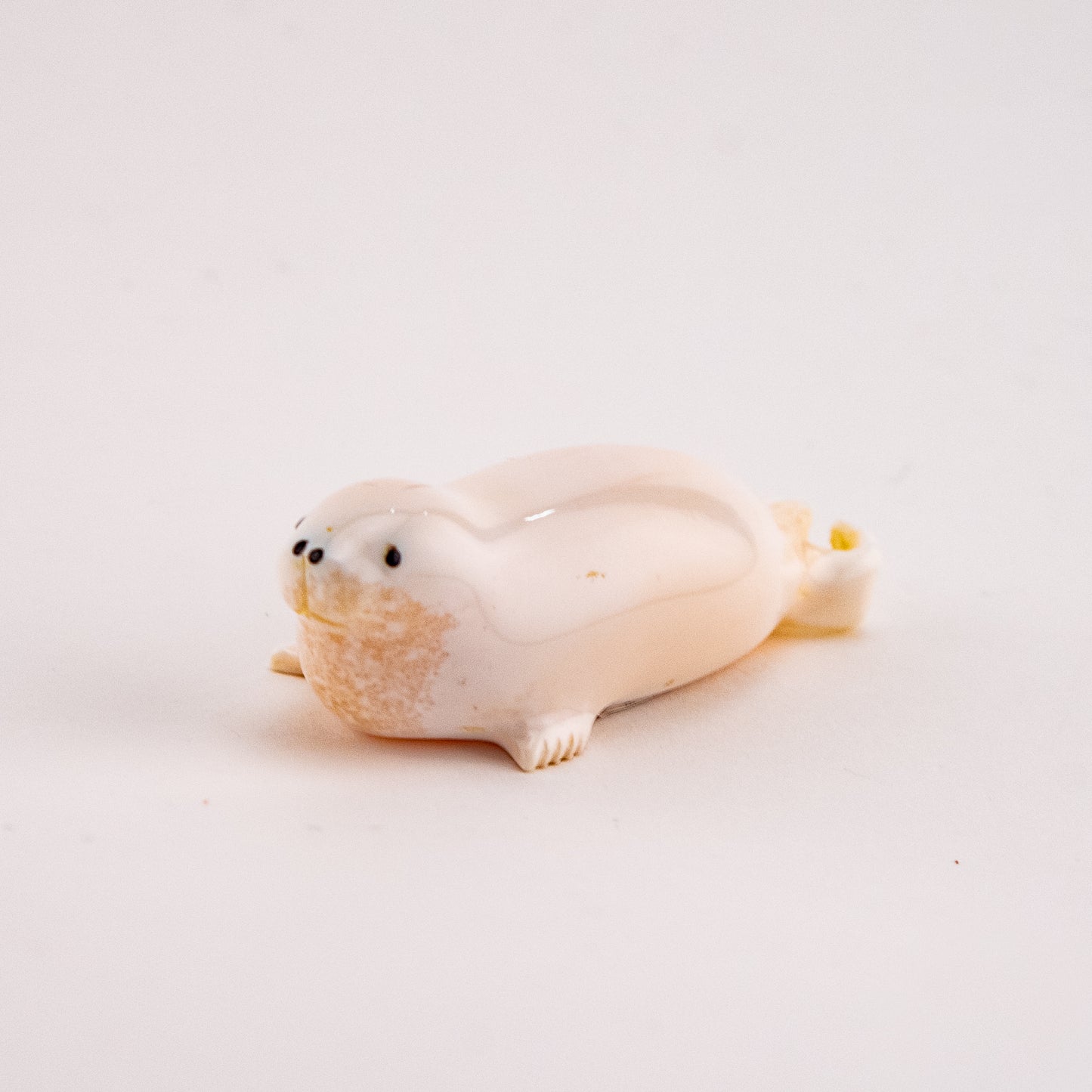 Curly Tailed Seal