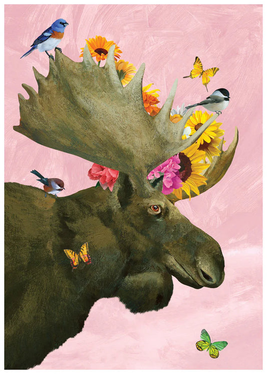 Allport Editions - Birthday Cards