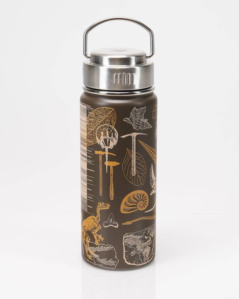 Dinosaurs 18 oz Steel Bottle