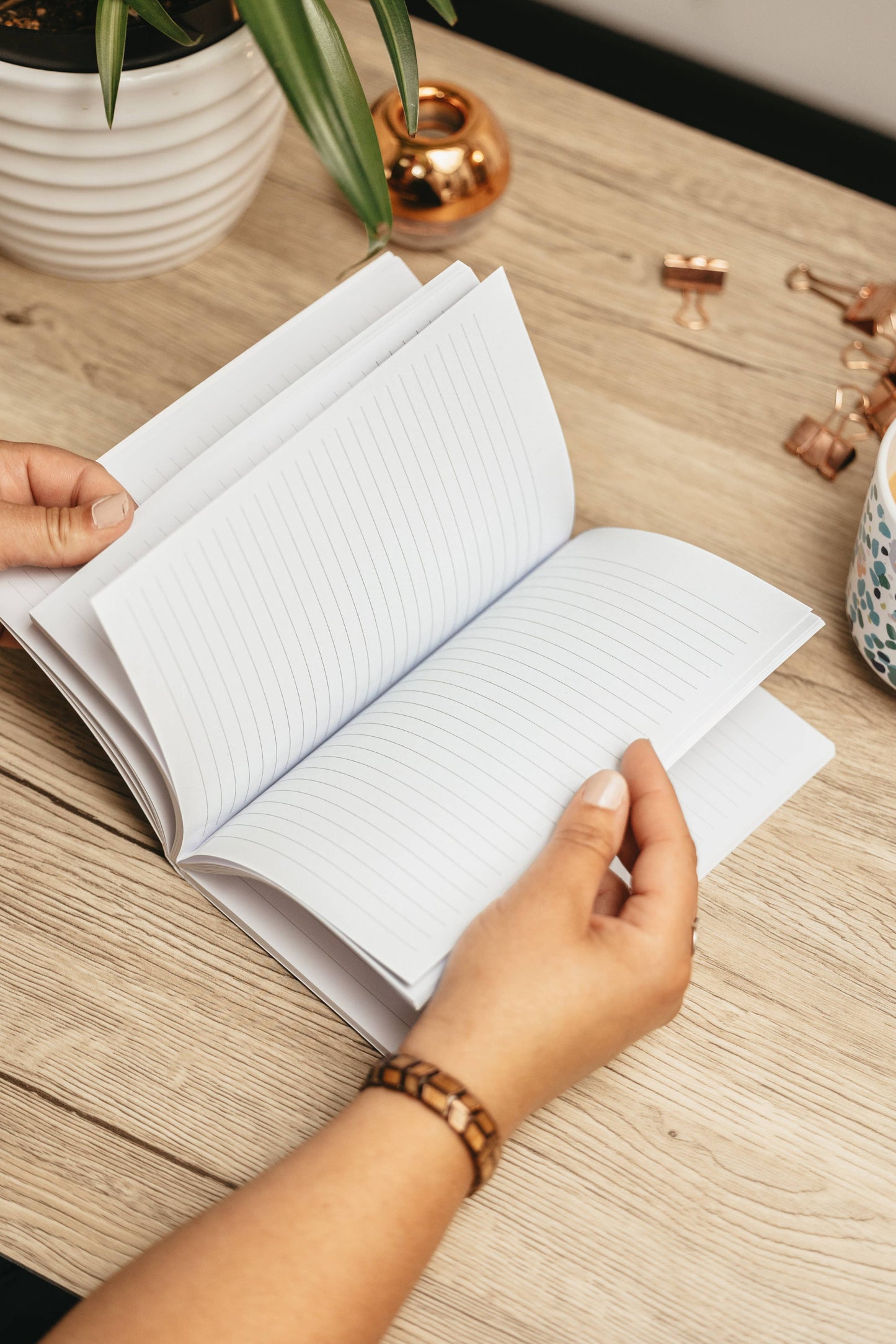 Blueberries Notebook + Sketchbook