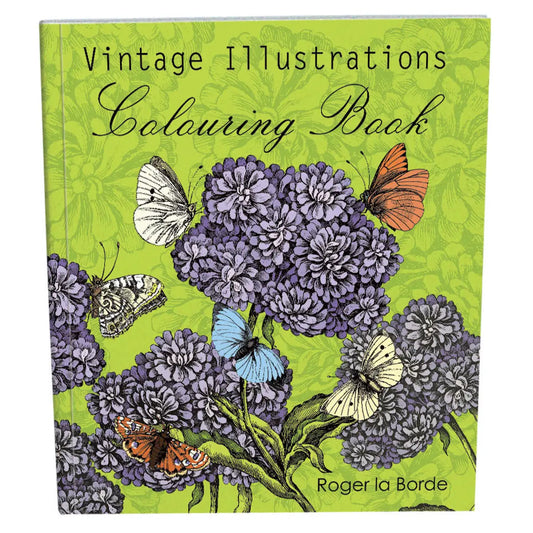 Roger La Borde - Mrs Merrion Coloring Book