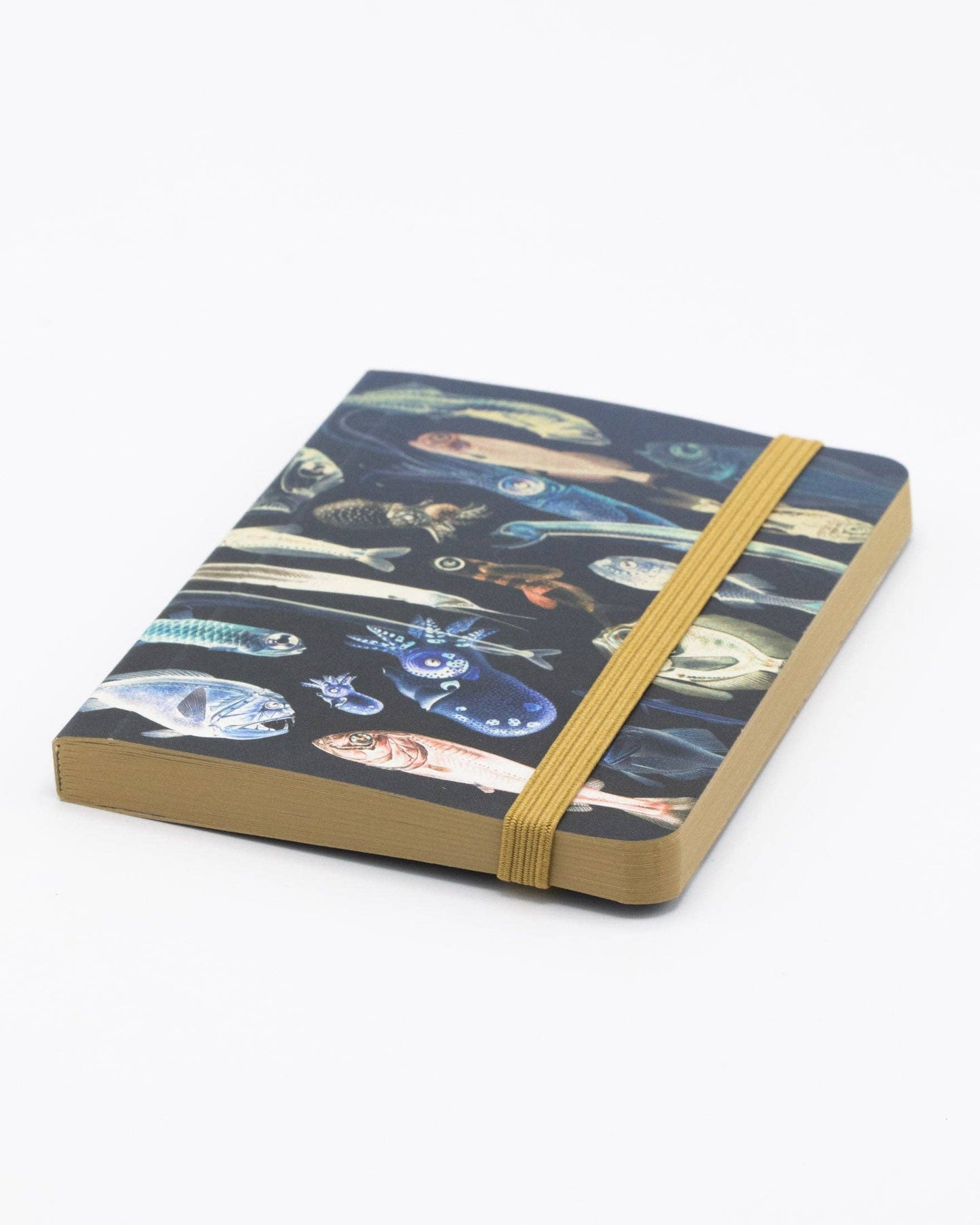 Mysteries of The Deep Observation Softcover