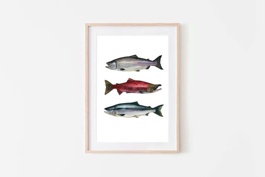 Salmon Trio Art Print