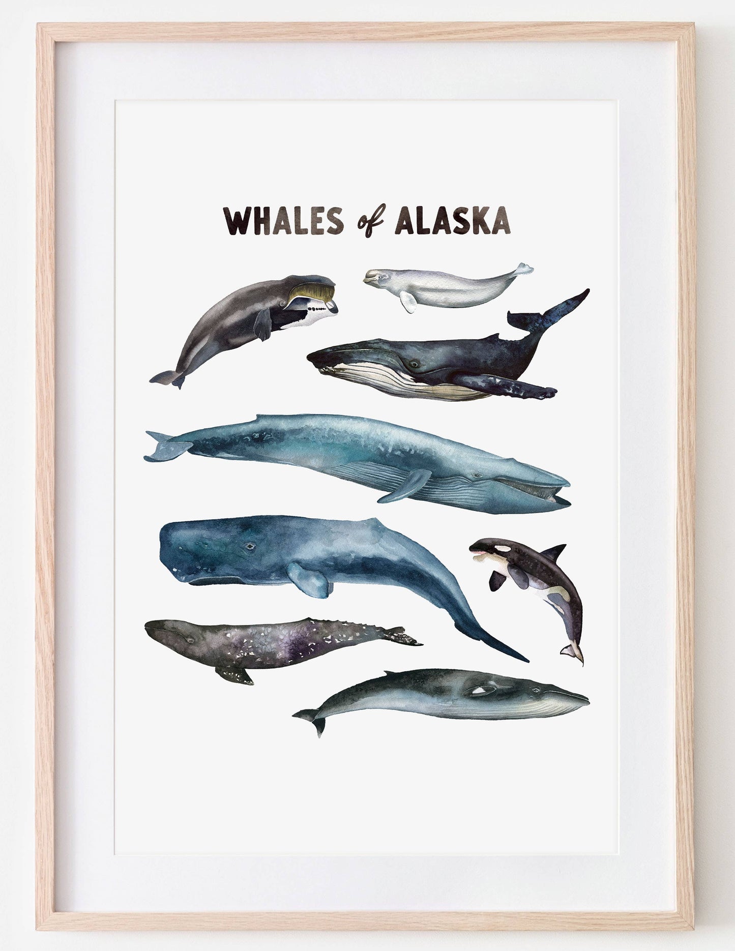 Whales of Alaska Art Print