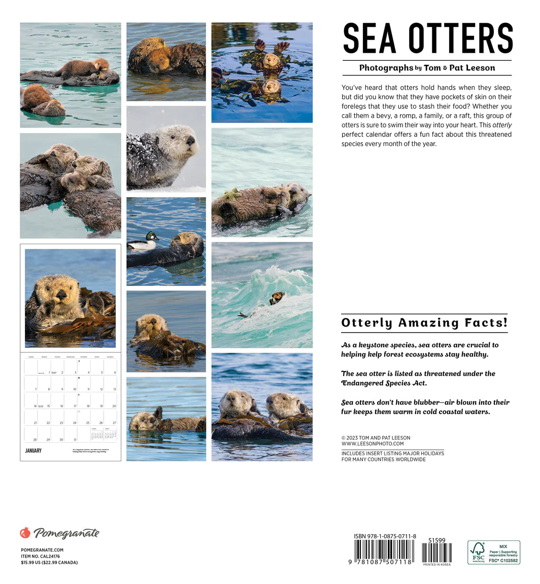 Sea Otters: Photographs by Tom and Pat Leeson 2024 Wall Calendar