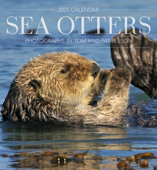 2025 Sea Otters: Photographs by Tom and Pat Leeson Calendar