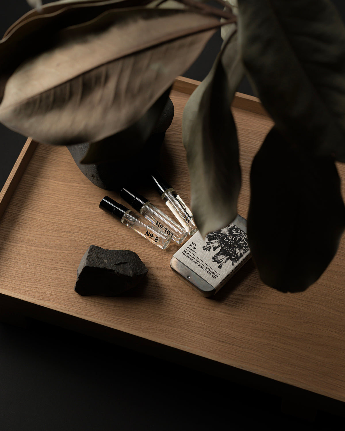 Langdegi (Light) Discovery Kit