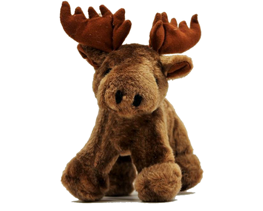 Pet Souvenirs - Dog Toys