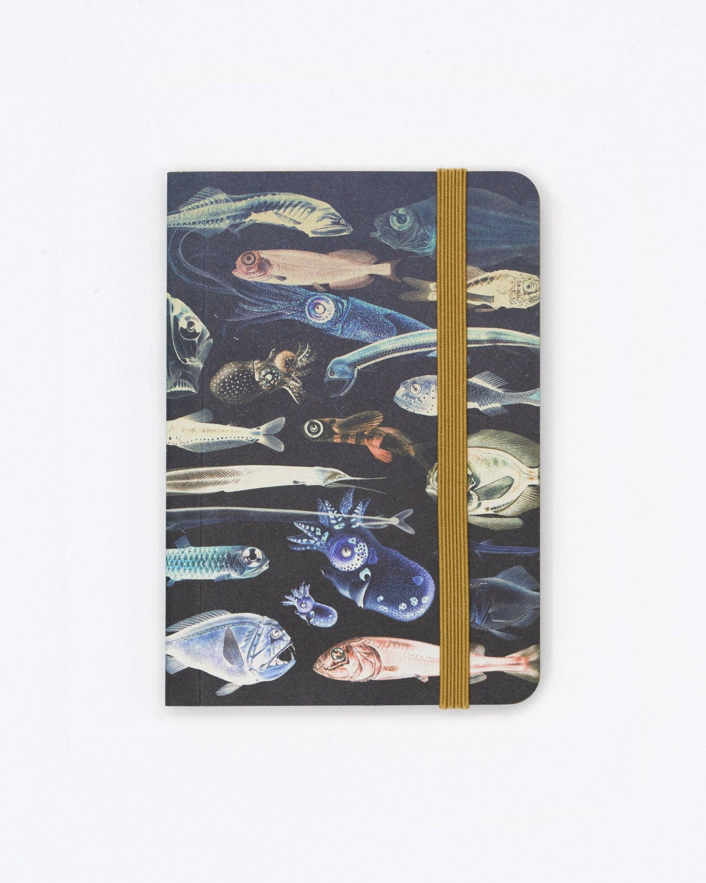 Mysteries of The Deep Observation Softcover