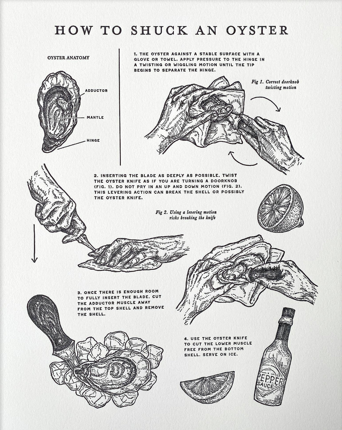 poster on how to shuck an oyster with illustrations and text.