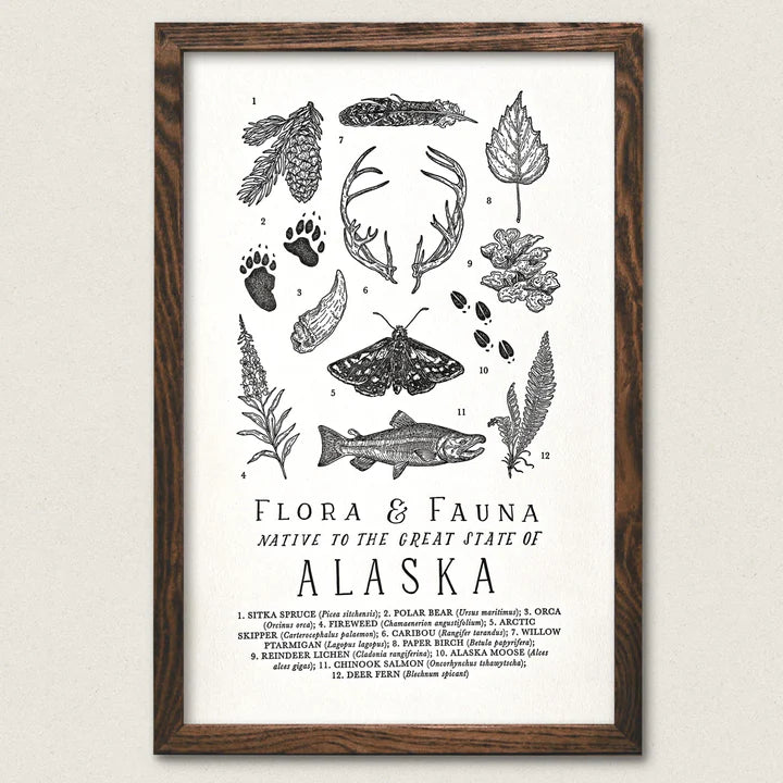 Alaska Field Guide Art Print