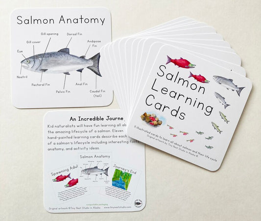 Tiny Nest Studio - Learning Cards