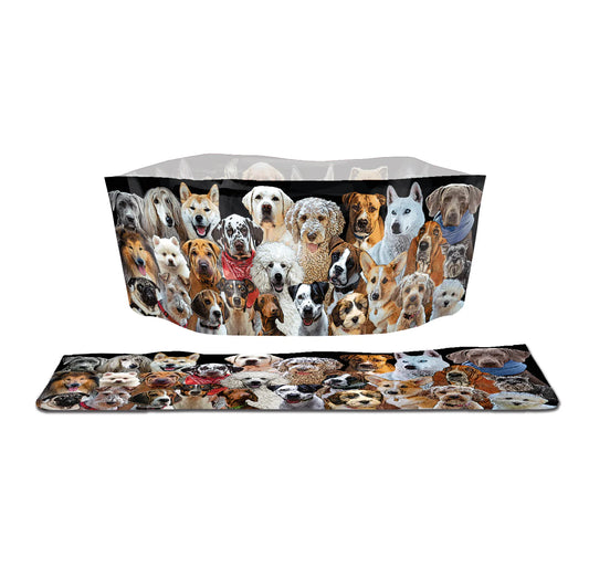 Dog Bowls - Modgy