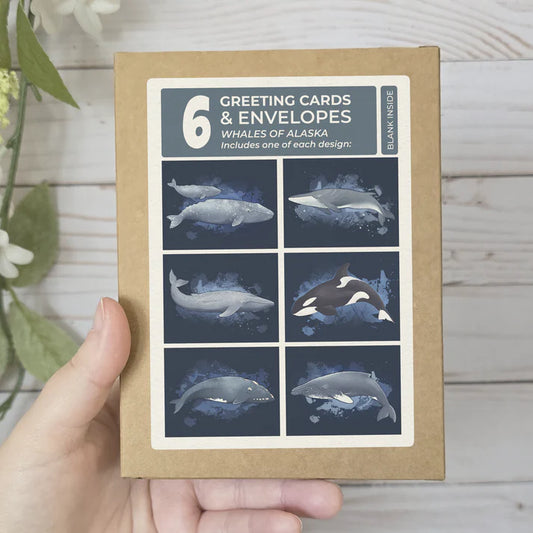 Snow Finch - Greeting Card Set