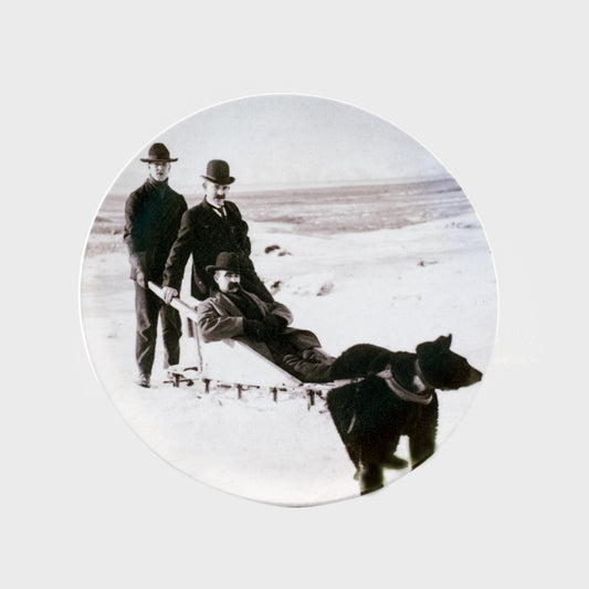Plate - Black Bear and Sled