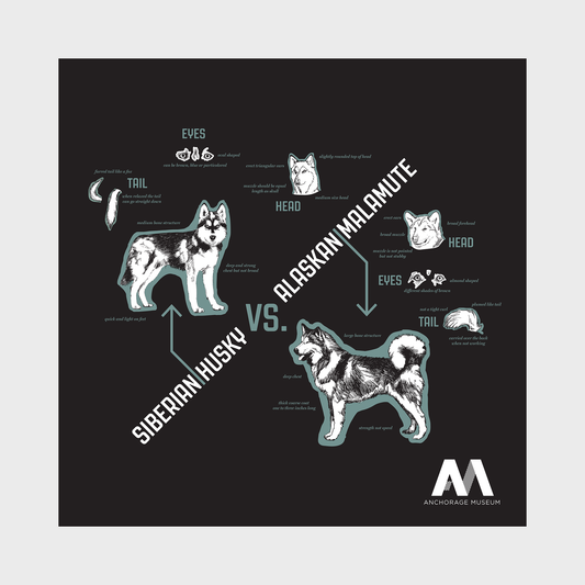 Husky vs. Malamute Poster