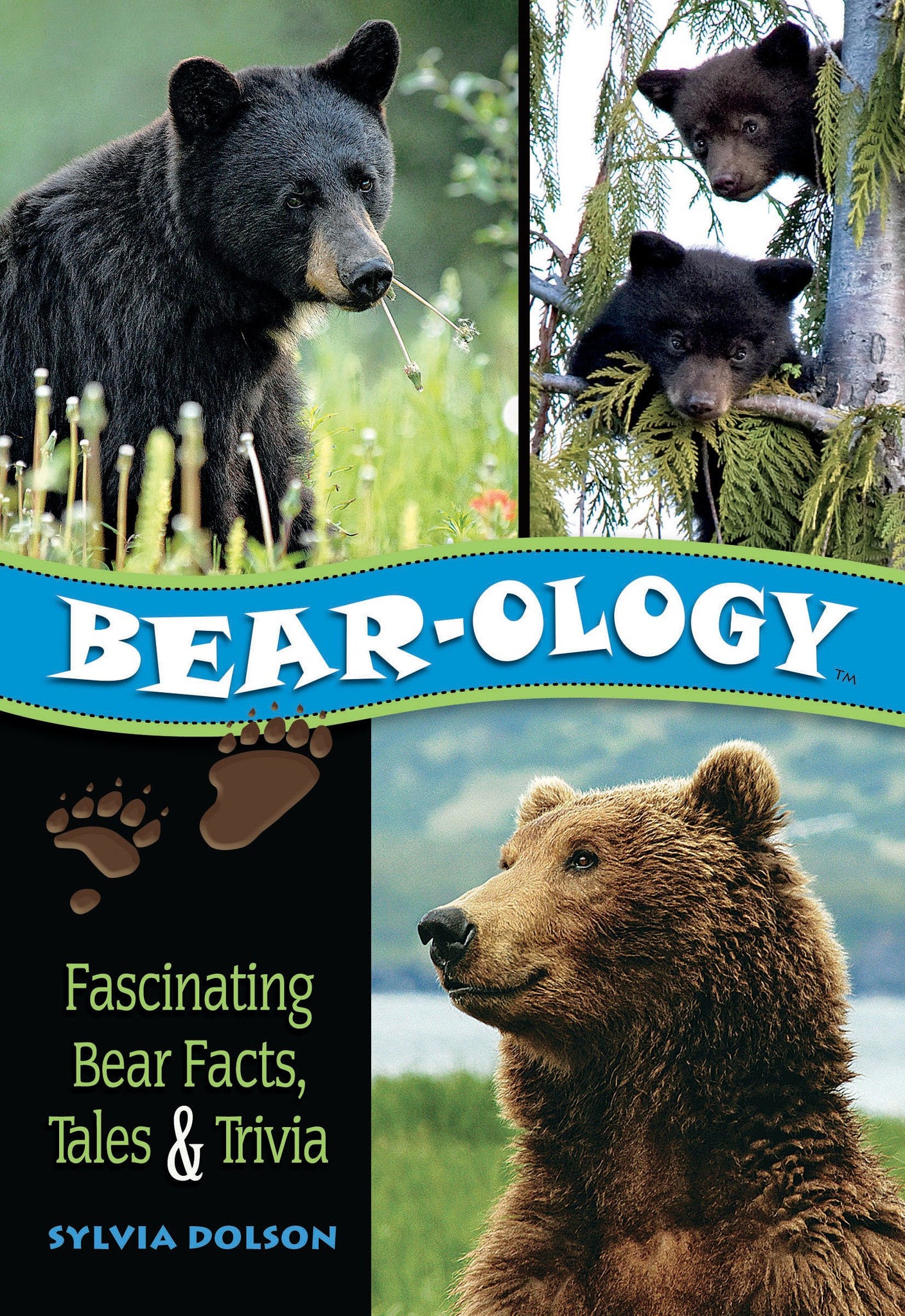 Bear-ology: Fascinating Bear Facts, Tales & Trivia by Sylvia Dolson