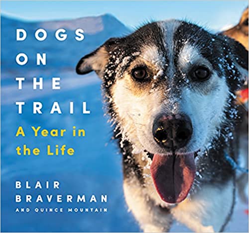 Dogs on the Trail: A Year in the Life by Blair Braverman and Quince Mountain