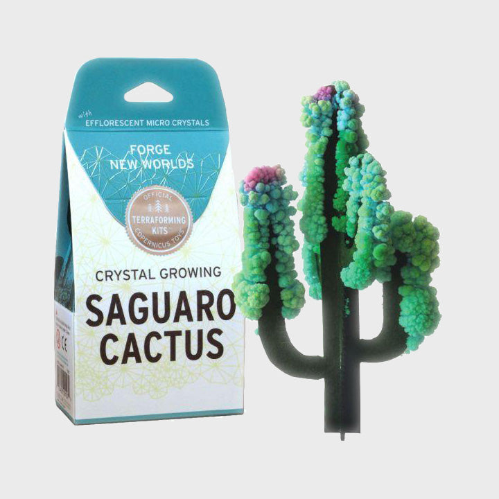 Crystal Growing: Saguaro Cactus