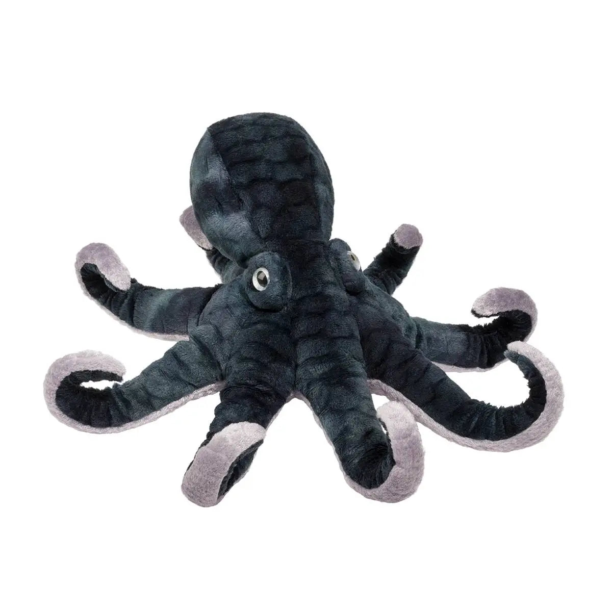Winky Octopus